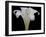 Lily on Black IV-Jim Christensen-Framed Photographic Print