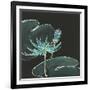 Lily on Black IV-Chris Paschke-Framed Art Print