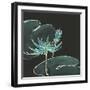 Lily on Black IV-Chris Paschke-Framed Art Print