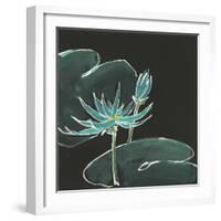 Lily on Black IV-Chris Paschke-Framed Art Print