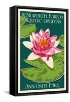 Lily Pad and Lotus - Kenilworth Aquatic Gardens-Lantern Press-Framed Stretched Canvas