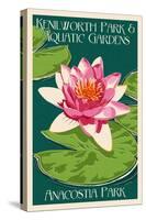 Lily Pad and Lotus - Kenilworth Aquatic Gardens-Lantern Press-Stretched Canvas