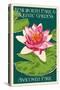 Lily Pad and Lotus - Kenilworth Aquatic Gardens-Lantern Press-Stretched Canvas