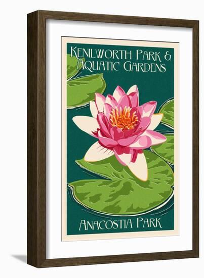 Lily Pad and Lotus - Kenilworth Aquatic Gardens-Lantern Press-Framed Art Print