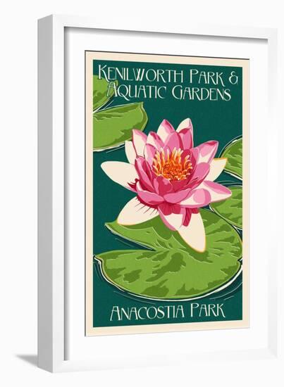 Lily Pad and Lotus - Kenilworth Aquatic Gardens-Lantern Press-Framed Art Print