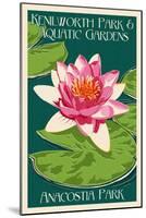 Lily Pad and Lotus - Kenilworth Aquatic Gardens-Lantern Press-Mounted Art Print