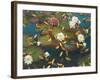 Lily Pad I-Elise Lunden-Framed Giclee Print