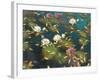 Lily Pad II-Elise Lunden-Framed Giclee Print