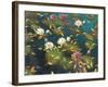 Lily Pad II-Elise Lunden-Framed Giclee Print