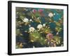 Lily Pad II-Elise Lunden-Framed Giclee Print