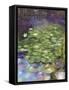 Lily Pad Pond-Ruth Day-Framed Stretched Canvas