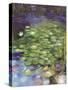 Lily Pad Pond-Ruth Day-Stretched Canvas