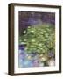 Lily Pad Pond-Ruth Day-Framed Giclee Print