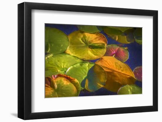 Lily Pads 2-Janet Slater-Framed Photographic Print