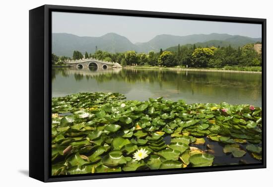 Lily Pads and a Arched Stone Bridge in Beijing Botanical Gardens, Beijing, China, Asia-Christian Kober-Framed Stretched Canvas