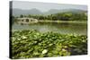 Lily Pads and a Arched Stone Bridge in Beijing Botanical Gardens, Beijing, China, Asia-Christian Kober-Stretched Canvas