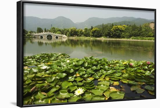 Lily Pads and a Arched Stone Bridge in Beijing Botanical Gardens, Beijing, China, Asia-Christian Kober-Framed Photographic Print