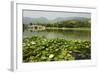 Lily Pads and a Arched Stone Bridge in Beijing Botanical Gardens, Beijing, China, Asia-Christian Kober-Framed Photographic Print