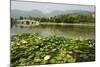 Lily Pads and a Arched Stone Bridge in Beijing Botanical Gardens, Beijing, China, Asia-Christian Kober-Mounted Photographic Print