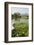 Lily Pads and a Arched Stone Bridge in Beijing Botanical Gardens, Beijing, China, Asia-Christian Kober-Framed Photographic Print