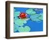 Lily Pads and Flower Blossom-Cindy Kassab-Framed Photographic Print