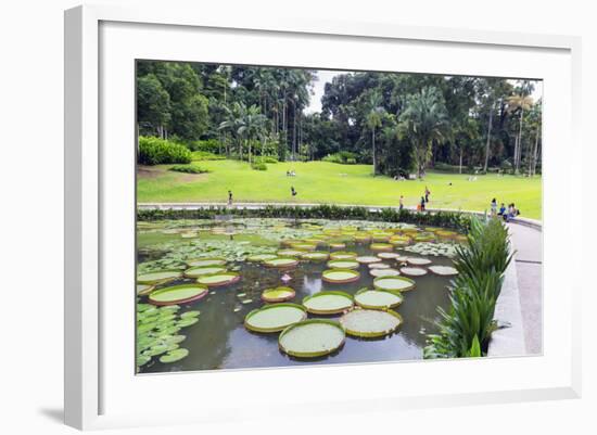 Lily Pads, Botanic Gardens, Singapore, Southeast Asia, Asia-Christian Kober-Framed Photographic Print