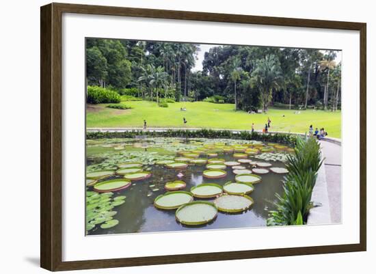 Lily Pads, Botanic Gardens, Singapore, Southeast Asia, Asia-Christian Kober-Framed Photographic Print