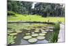 Lily Pads, Botanic Gardens, Singapore, Southeast Asia, Asia-Christian Kober-Mounted Photographic Print