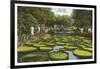 Lily Pads, Como Park, St. Paul, Minnesota-null-Framed Art Print