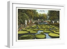 Lily Pads, Como Park, St. Paul, Minnesota-null-Framed Art Print