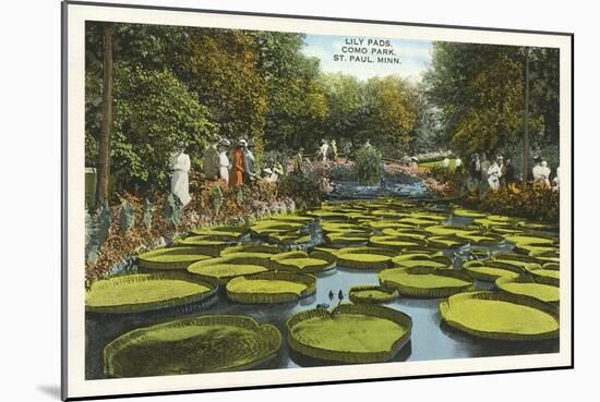 Lily Pads, Como Park, St. Paul, Minnesota-null-Mounted Art Print