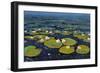 Lily Pads II-Tim OToole-Framed Art Print