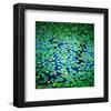 Lily Pads Pond Surface-null-Framed Art Print