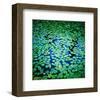 Lily Pads Pond Surface-null-Framed Art Print