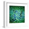 Lily Pads Pond Surface-null-Framed Art Print