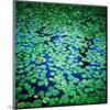 Lily Pads Pond Surface-null-Mounted Art Print