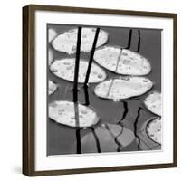 Lily Pads, Sunrise-David Gray-Framed Art Print