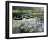 Lily Pads, Watendlath Tarn, Lake District National Park, Cumbria, England, United Kingdom-Neale Clarke-Framed Photographic Print