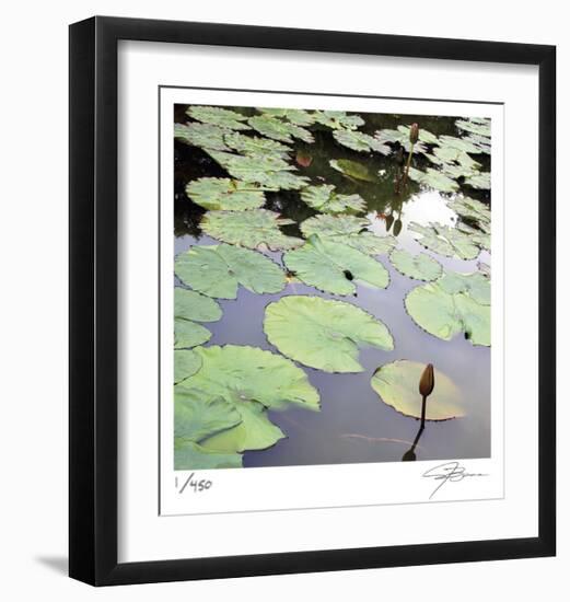 Lily Pads-Ken Bremer-Framed Limited Edition