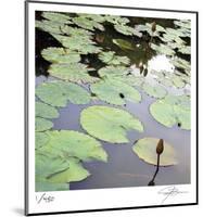 Lily Pads-Ken Bremer-Mounted Limited Edition