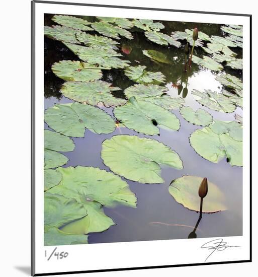 Lily Pads-Ken Bremer-Mounted Limited Edition