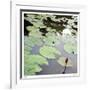 Lily Pads-Ken Bremer-Framed Limited Edition