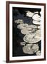 Lily Pads-K.B. White-Framed Photographic Print