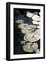 Lily Pads-K.B. White-Framed Photographic Print