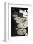 Lily Pads-K.B. White-Framed Photographic Print