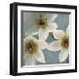 Lily Parfait I-Janel Pahl-Framed Giclee Print