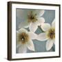 Lily Parfait I-Janel Pahl-Framed Giclee Print