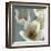 Lily Parfait II-Janel Pahl-Framed Giclee Print