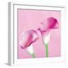 Lily Pink II-Joseph Eta-Framed Giclee Print