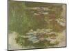 Lily Pond, 1881-Claude Monet-Mounted Giclee Print